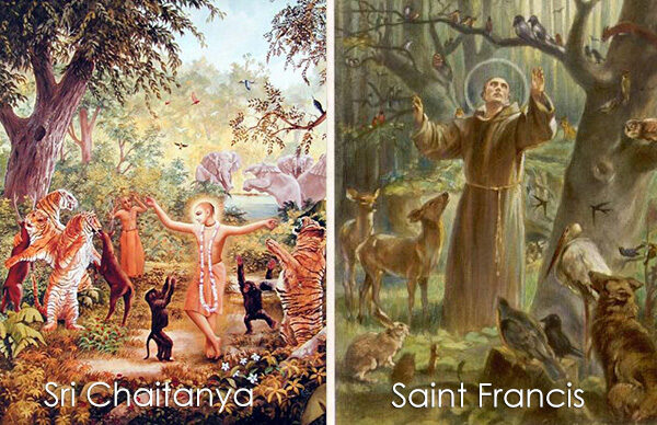 The Teachings of Saint Francis are alive and well in Colombia!