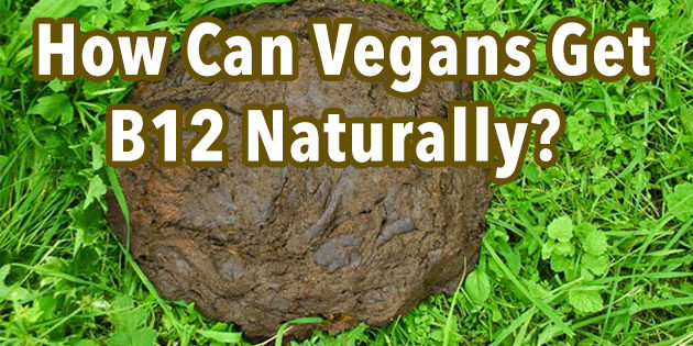 The Stain On The Vegan Diet B12 Deficiency The Solution May
