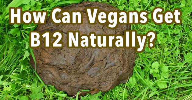 The Stain on the Vegan Diet – B12 deficiency. The Solution may Surprise you.