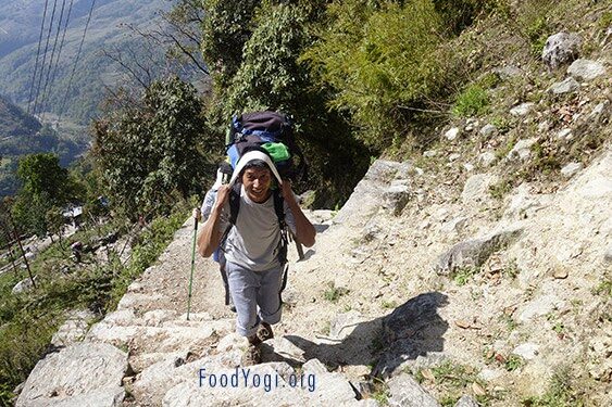 Trekking through the Himalayas (POEM)