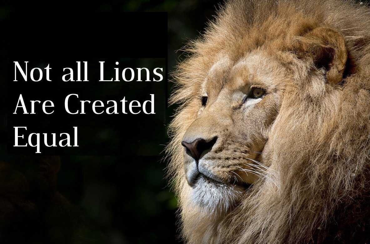 Not all Lions Are Created Equal