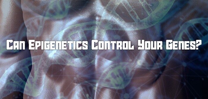 Can Epigenetics Control Your Genes?